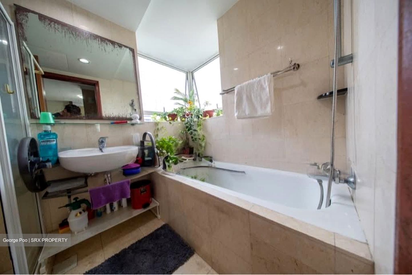 Compass Heights (D19), Apartment #571289921